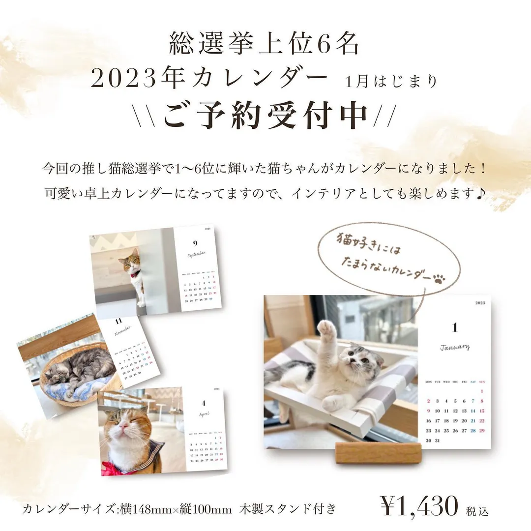 投稿の写真1