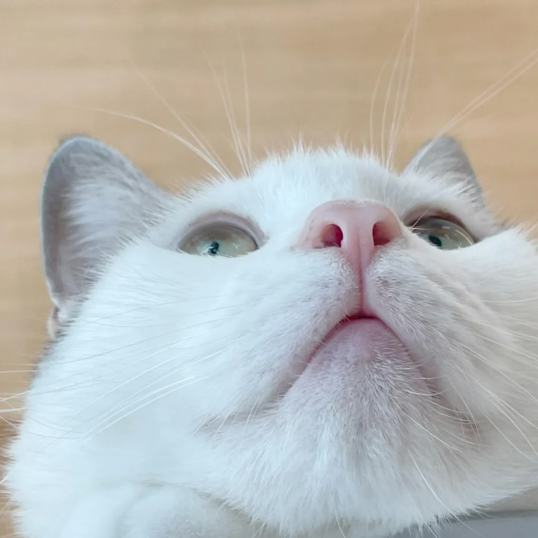 投稿の写真3