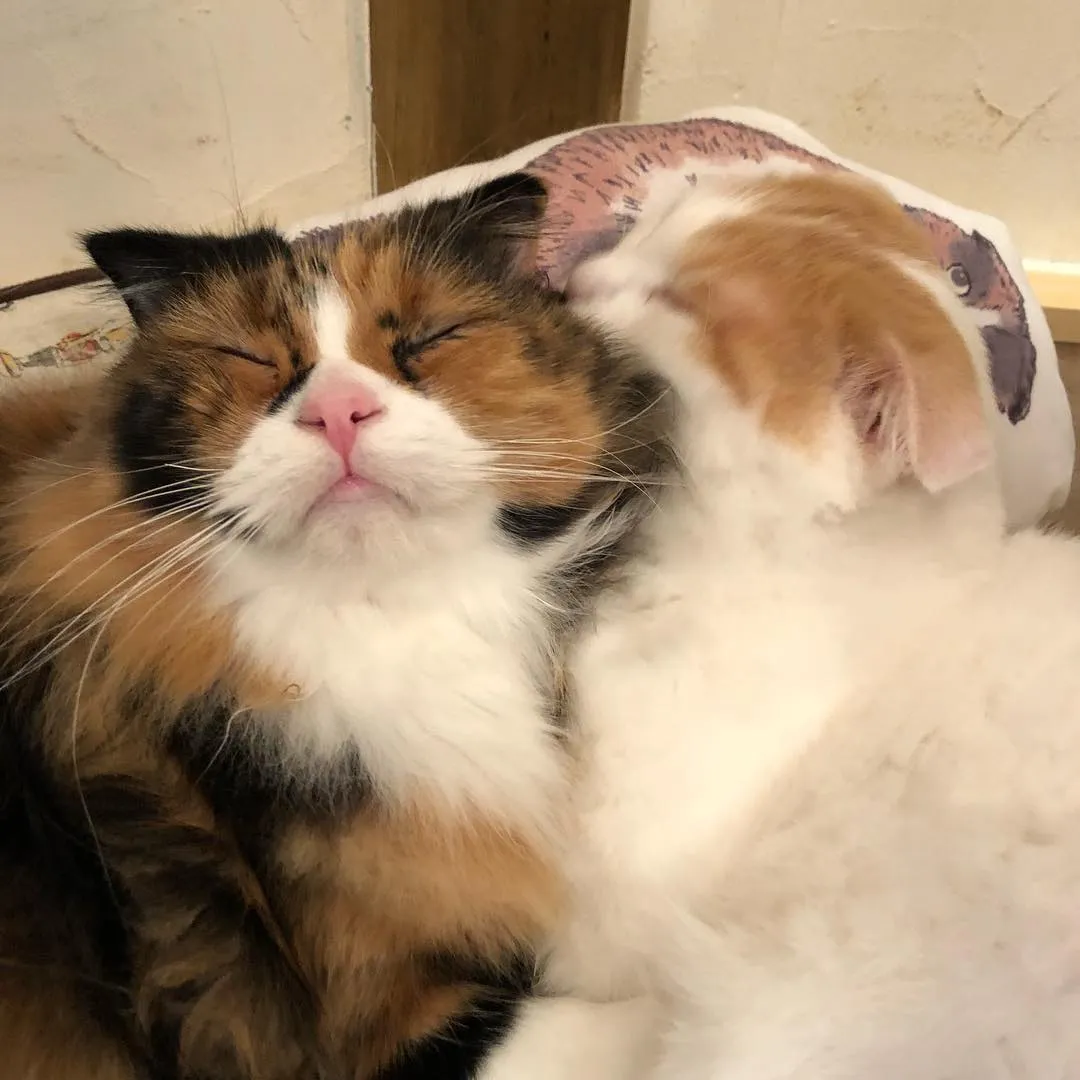 投稿の写真2