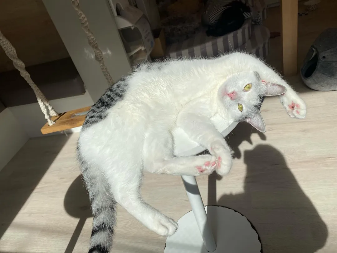 投稿の写真2