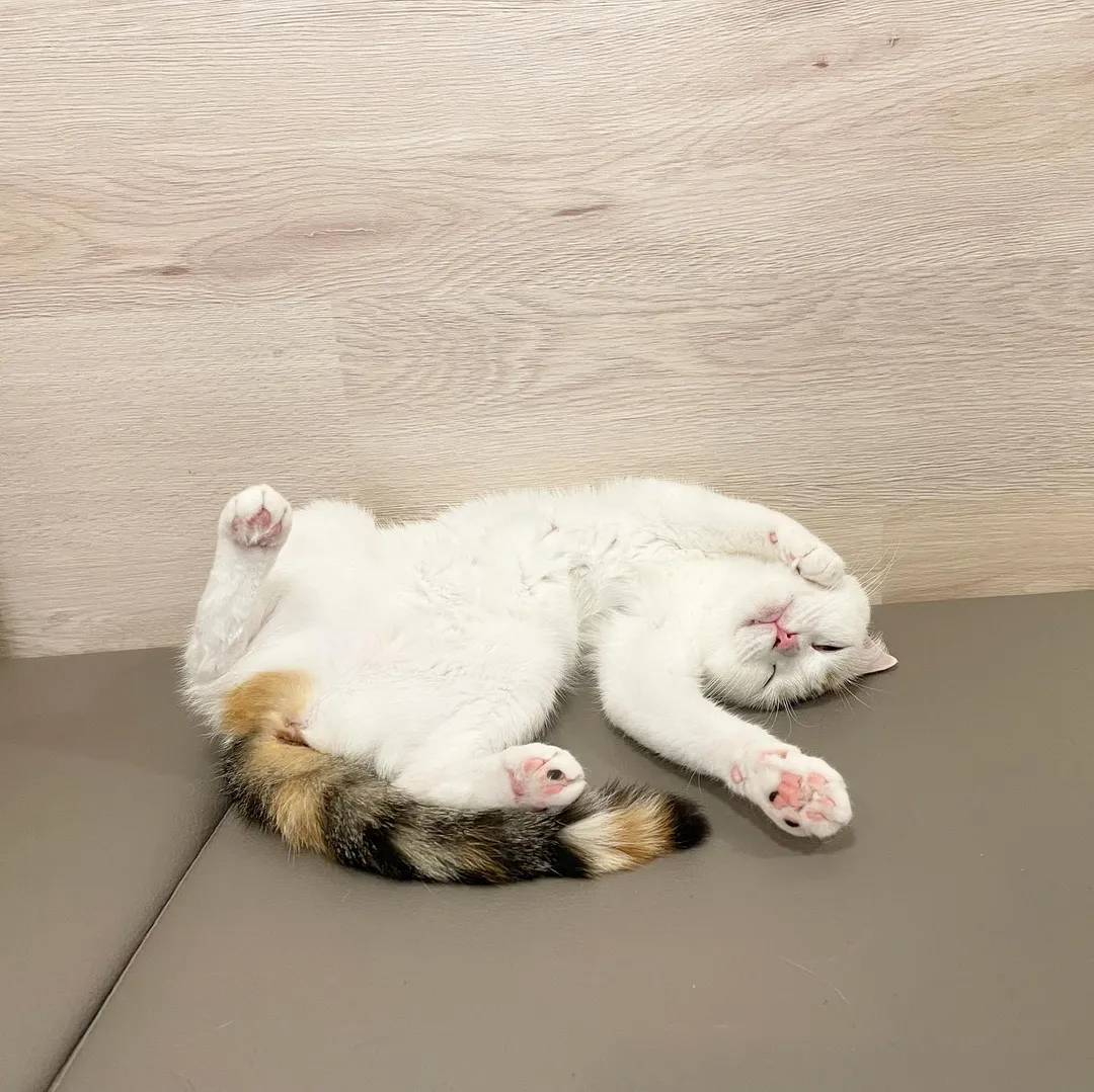 投稿の写真5