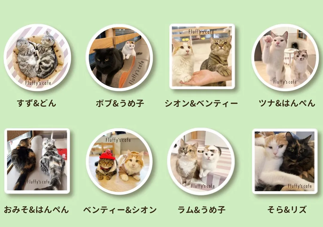 投稿の写真2