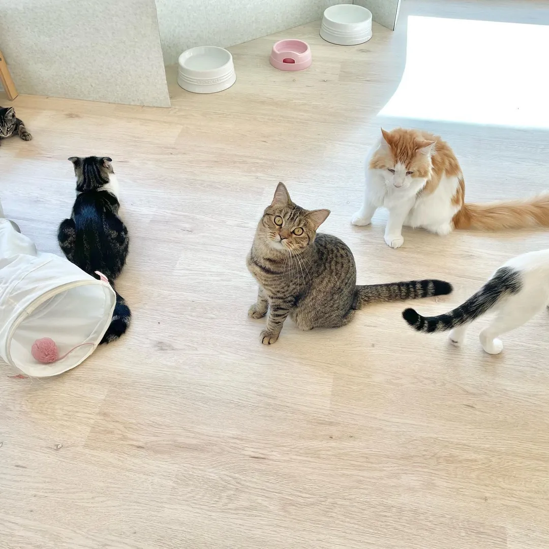 投稿の写真3