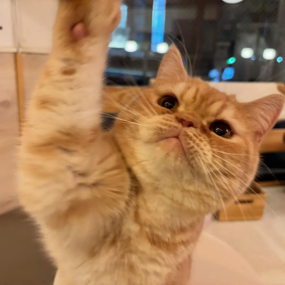 投稿の写真4