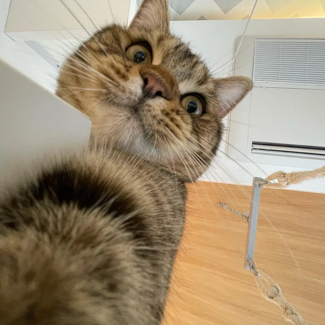 投稿の写真5