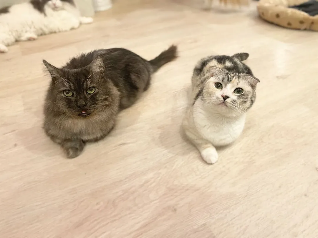 投稿の写真