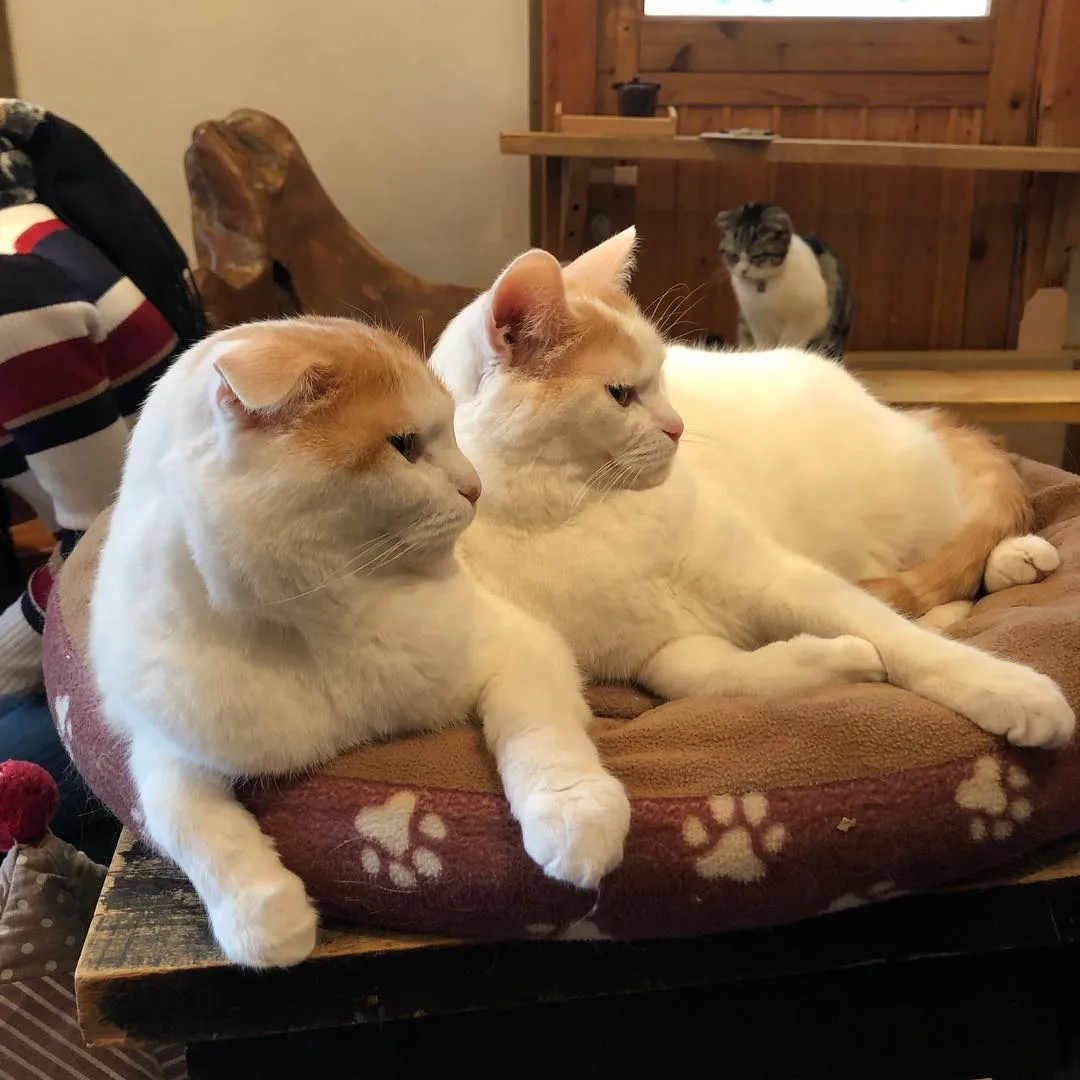 投稿の写真2