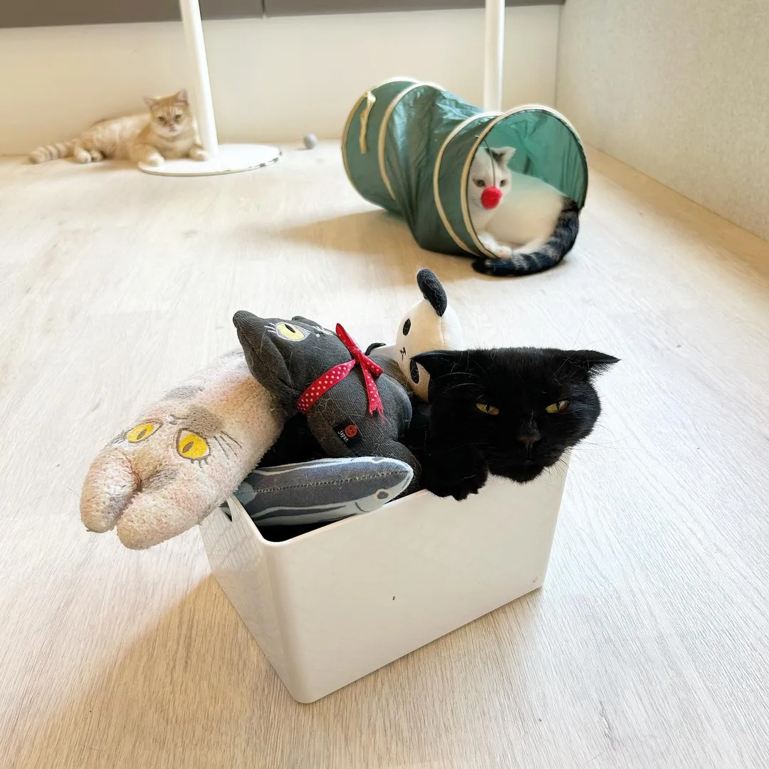 投稿の写真2
