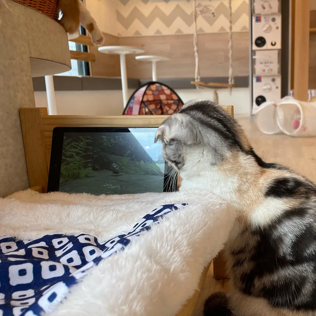 投稿の写真7
