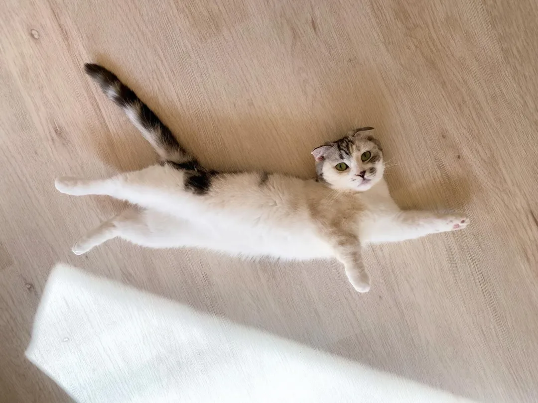 投稿の写真