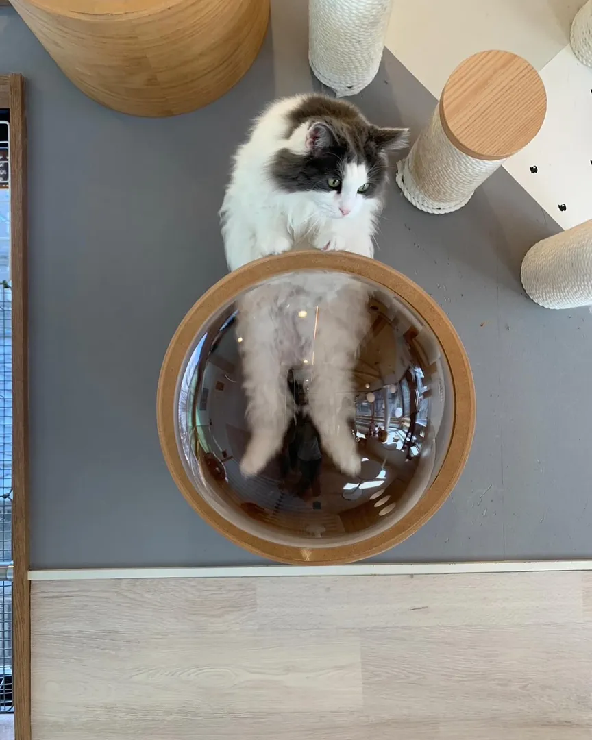 投稿の写真3