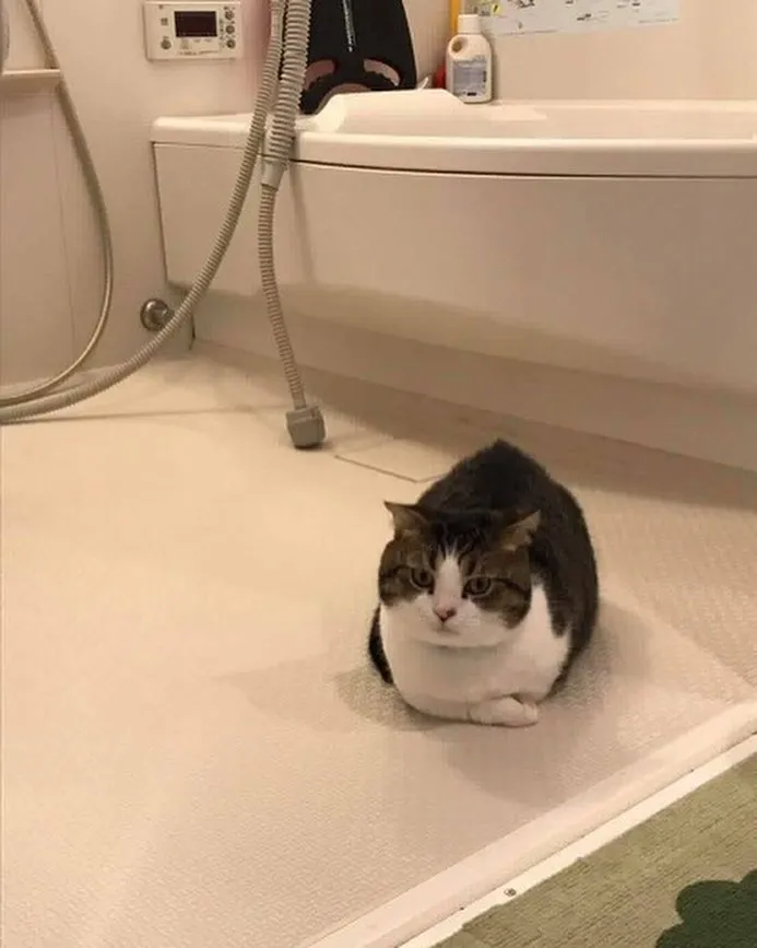 投稿の写真4