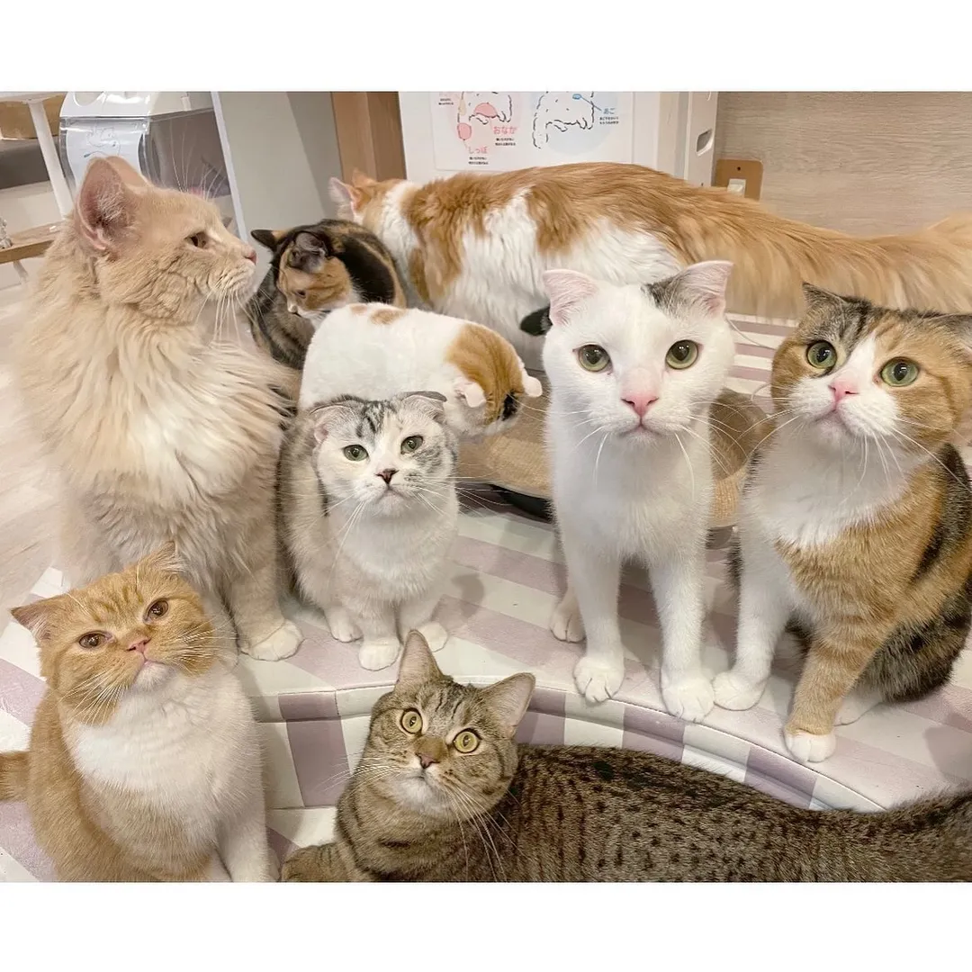 投稿の写真3