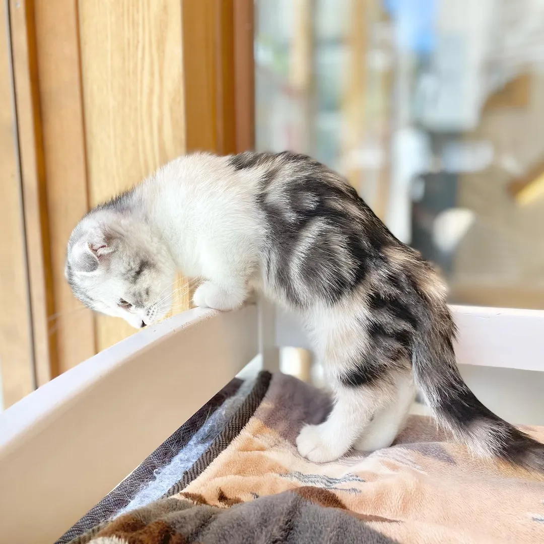 投稿の写真4