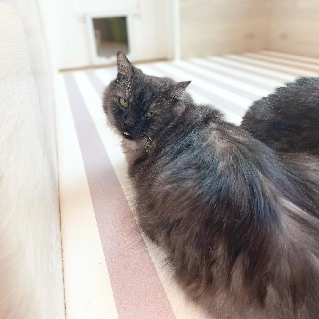 投稿の写真2