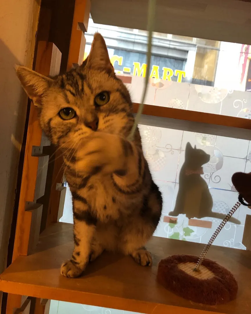 投稿の写真5