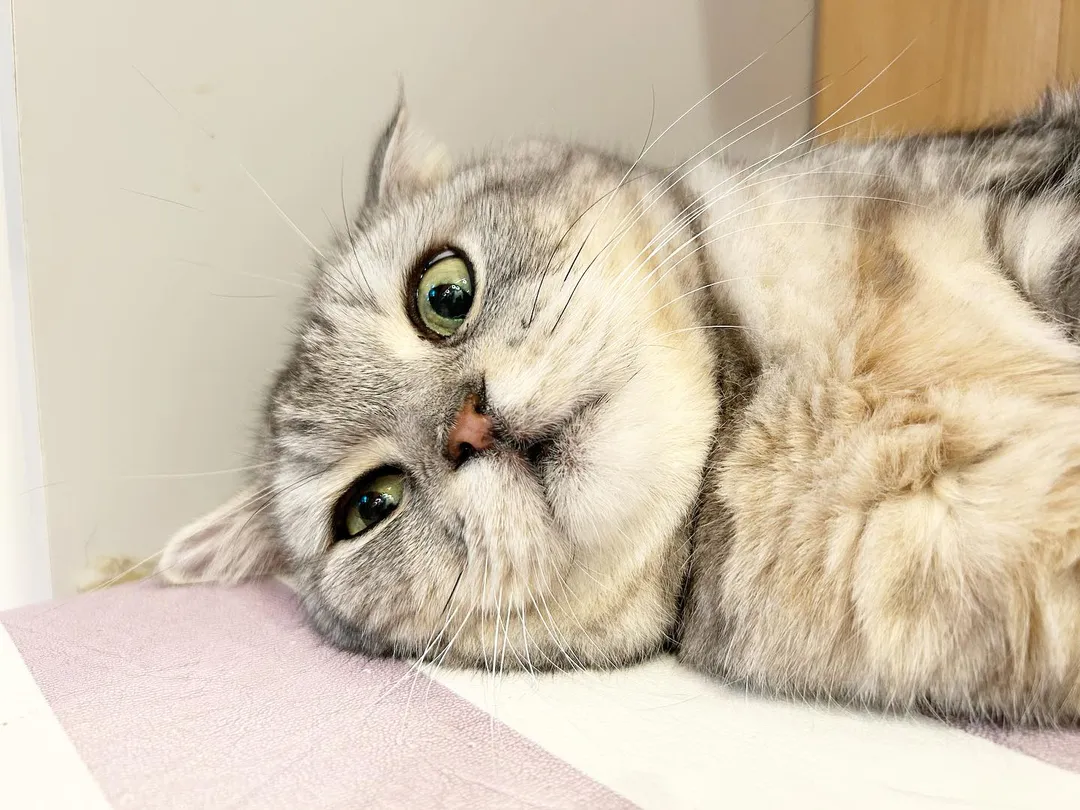 投稿の写真3