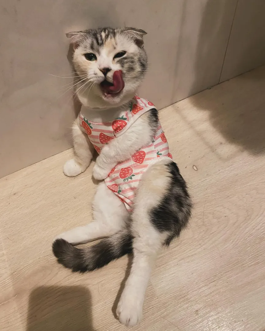 投稿の写真4