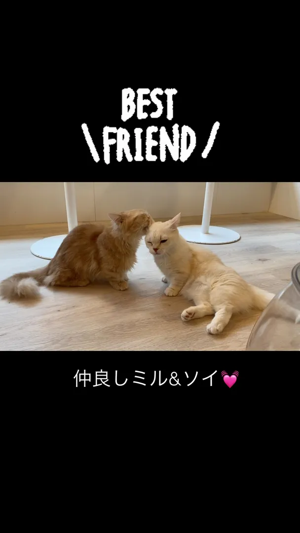 投稿の写真