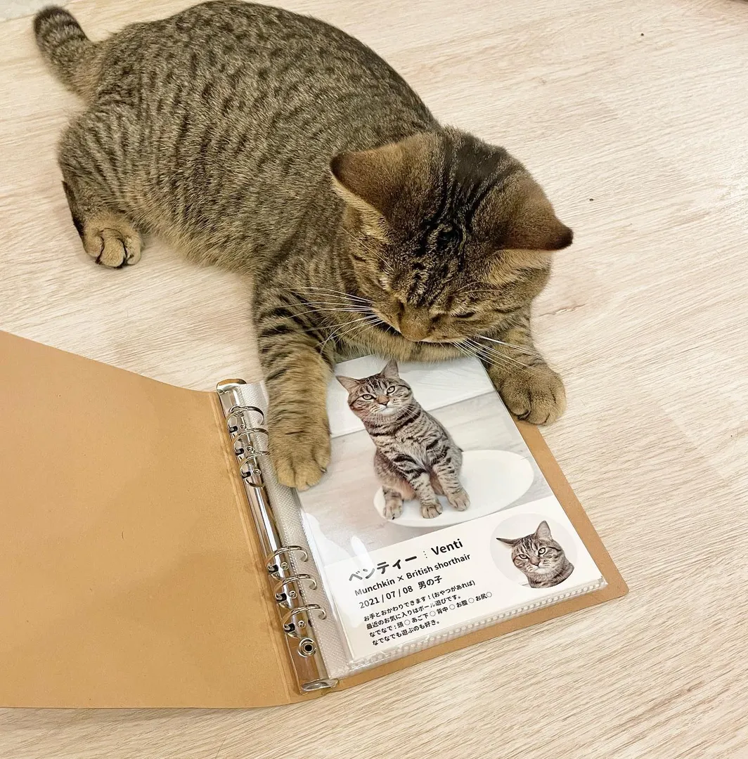 投稿の写真2