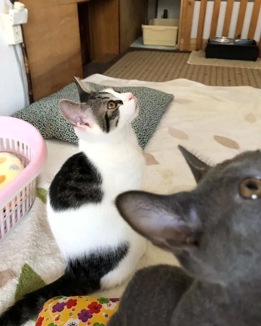 投稿の写真3