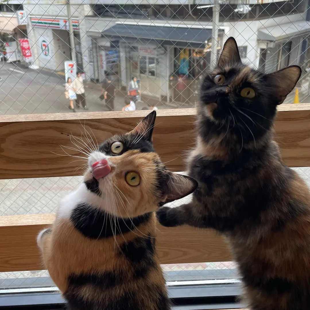 投稿の写真2