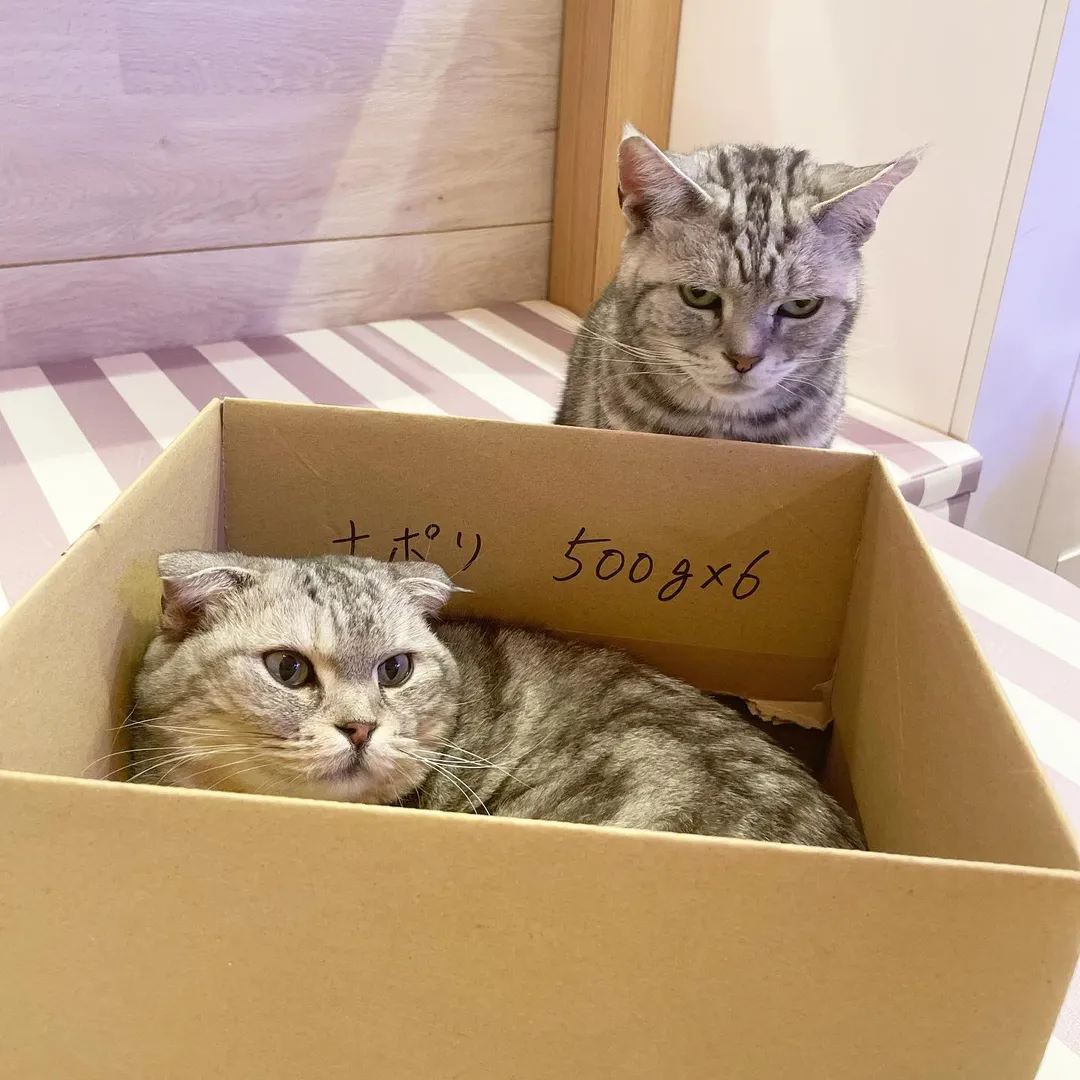 投稿の写真1