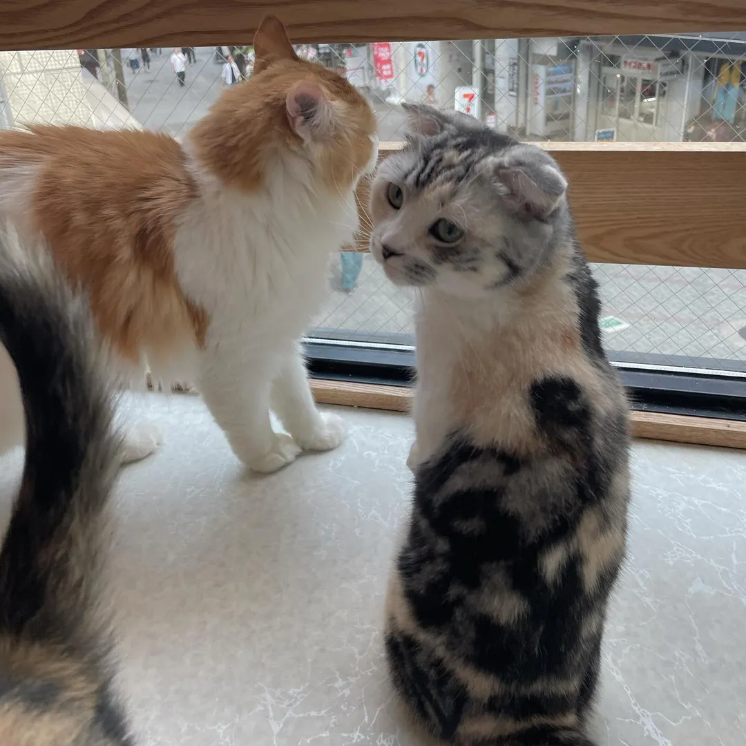 投稿の写真4