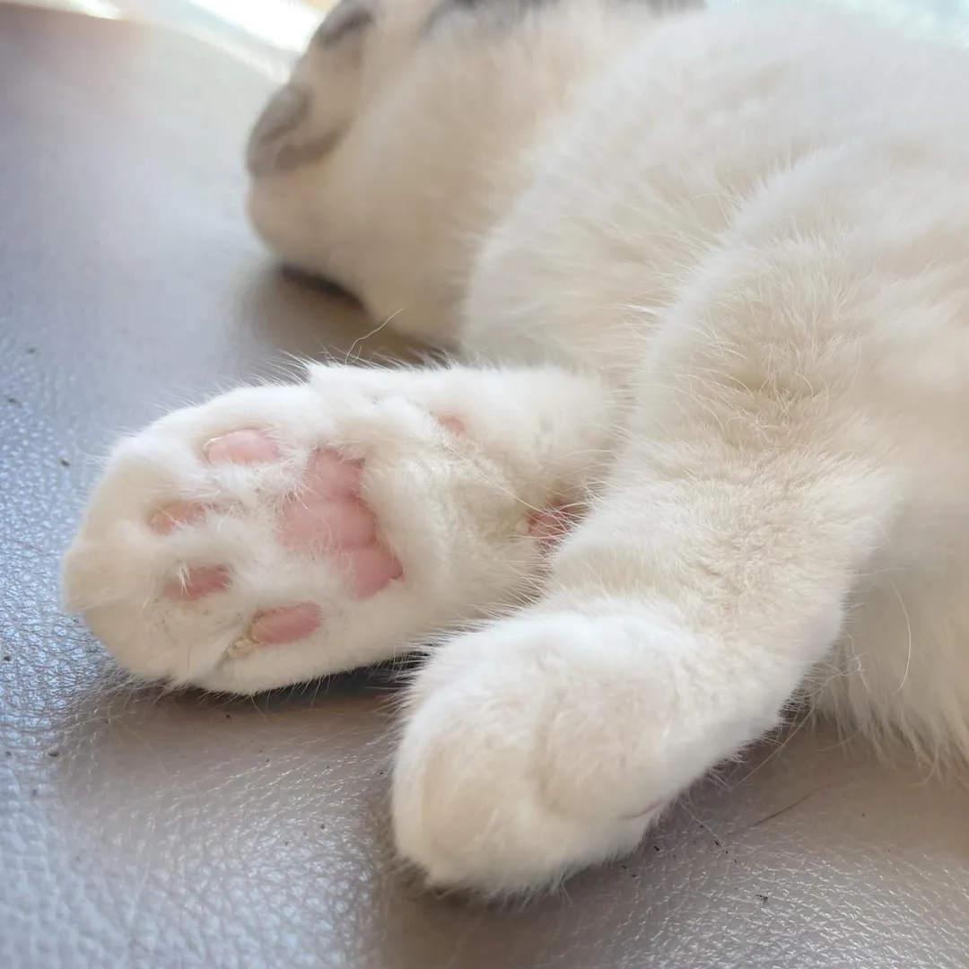 投稿の写真4