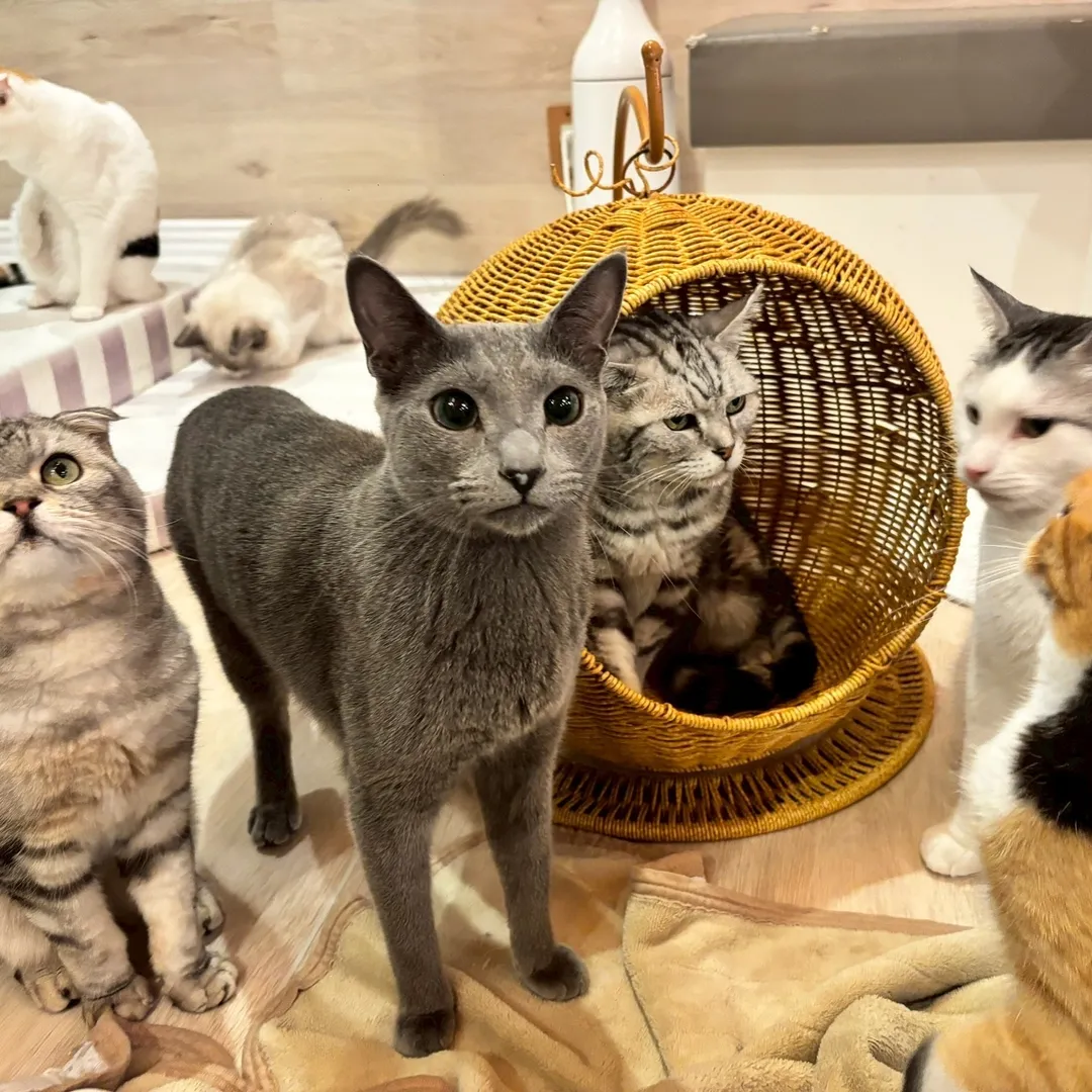 投稿の写真9