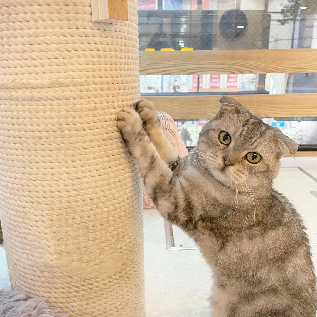 投稿の写真1