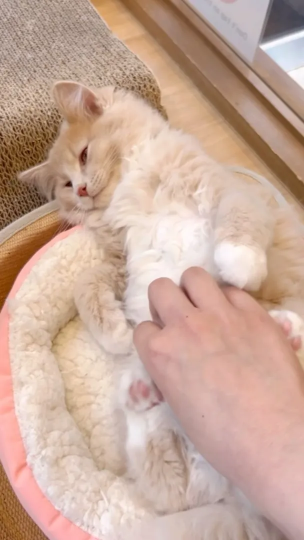 投稿の写真