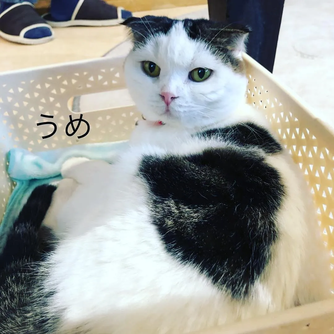 投稿の写真4