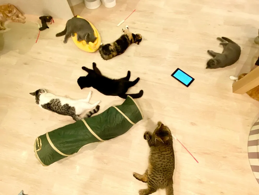 投稿の写真2