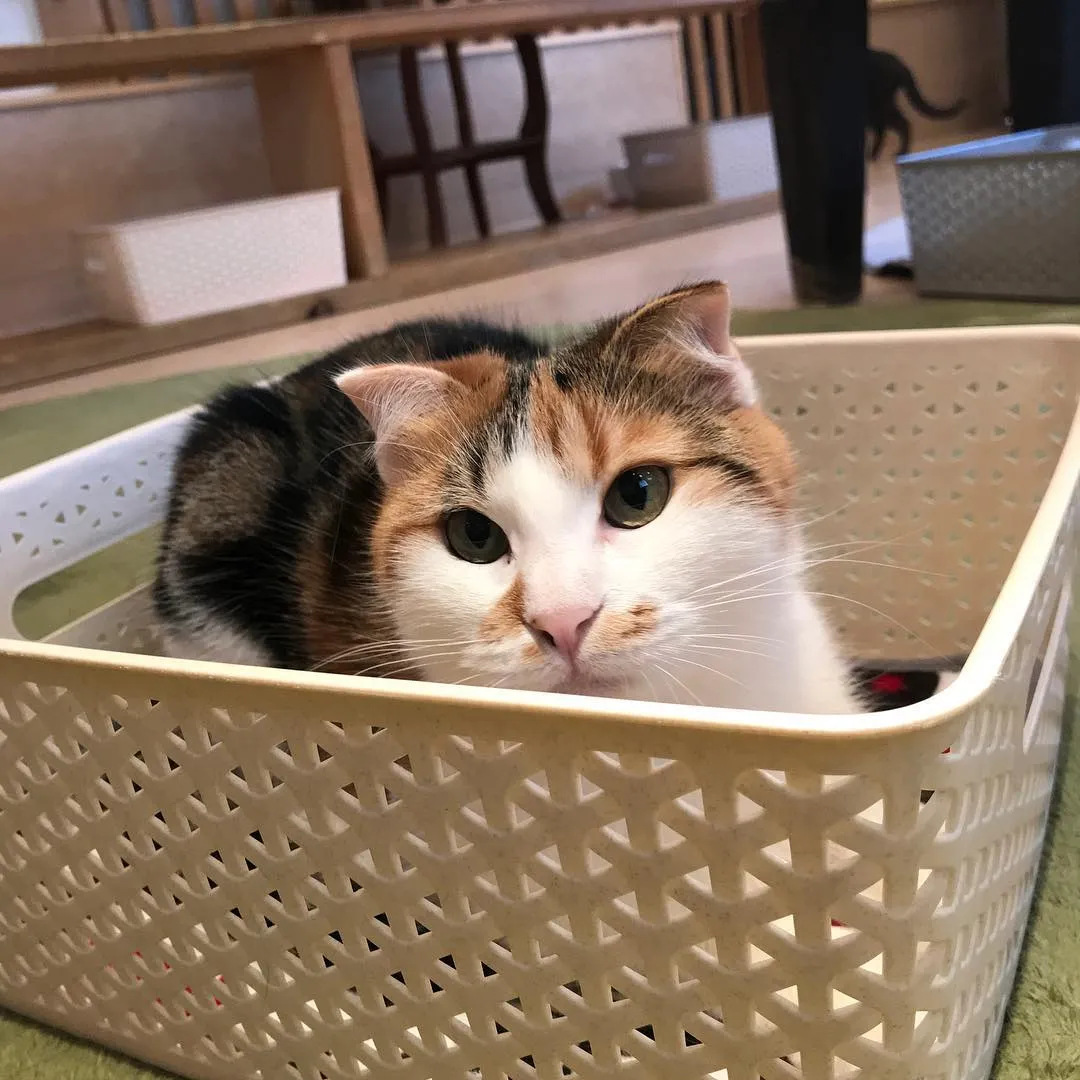 投稿の写真2