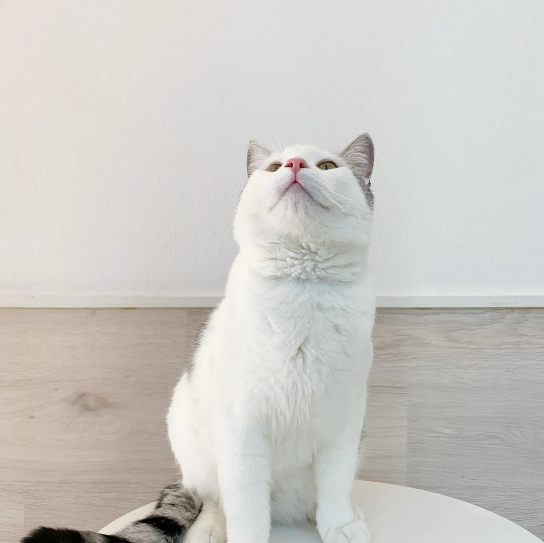 投稿の写真3