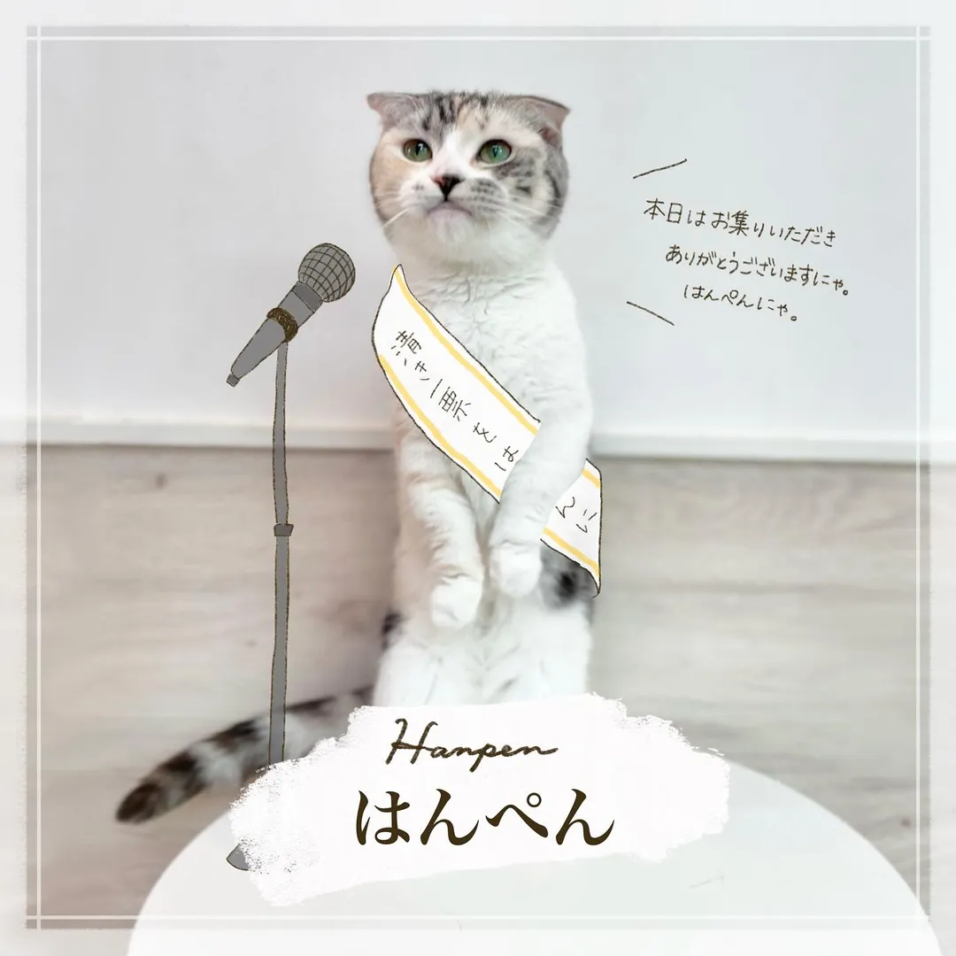 投稿の写真5