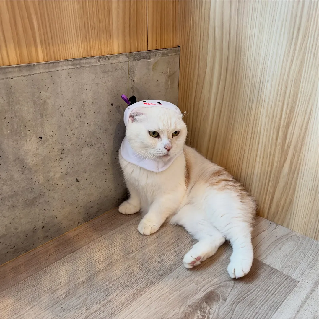 投稿の写真4