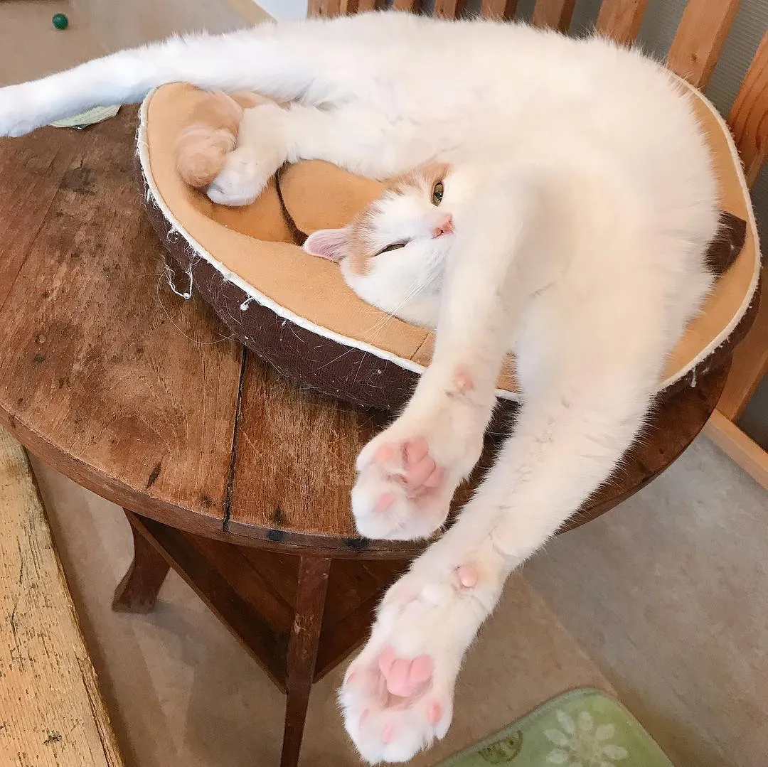 投稿の写真3