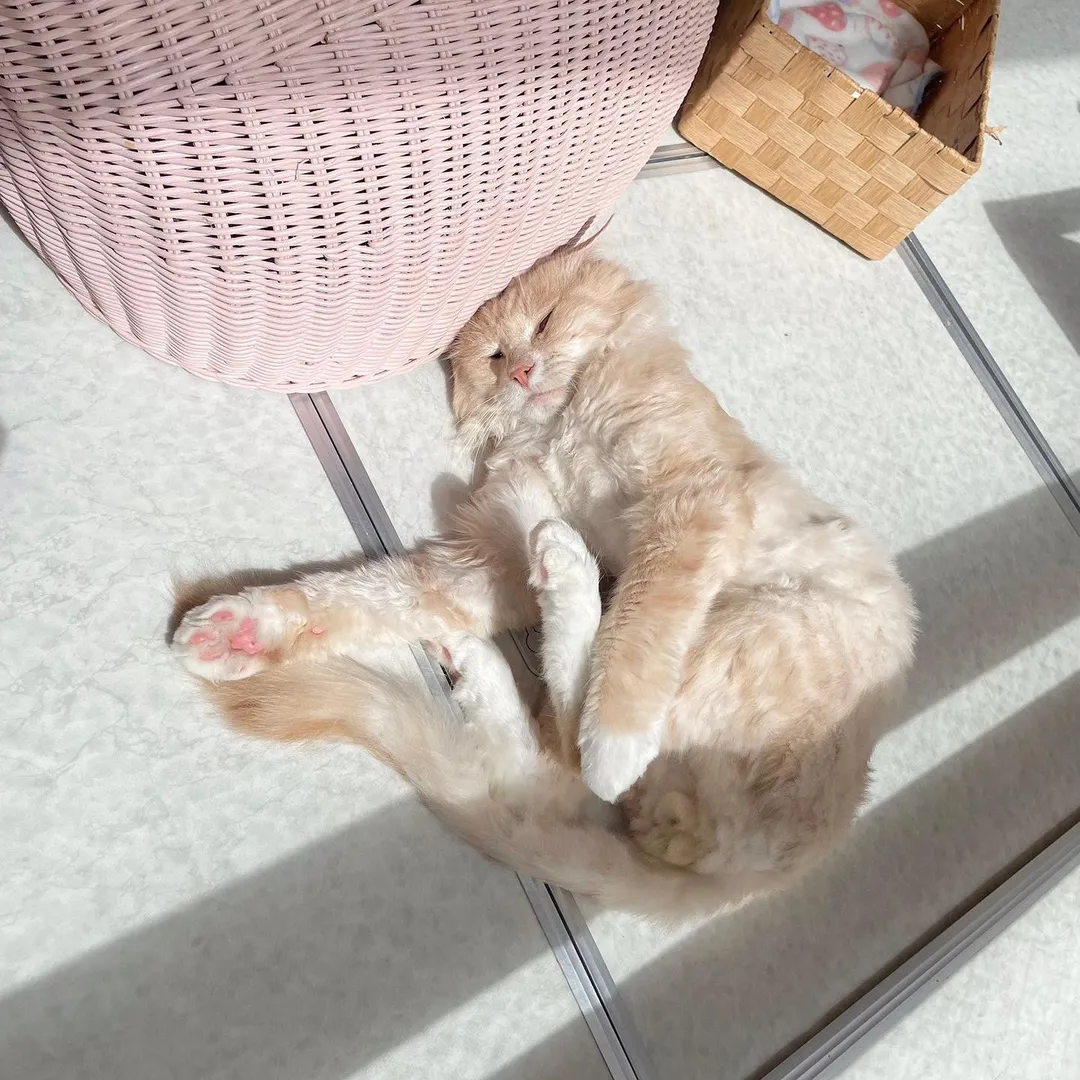 投稿の写真3
