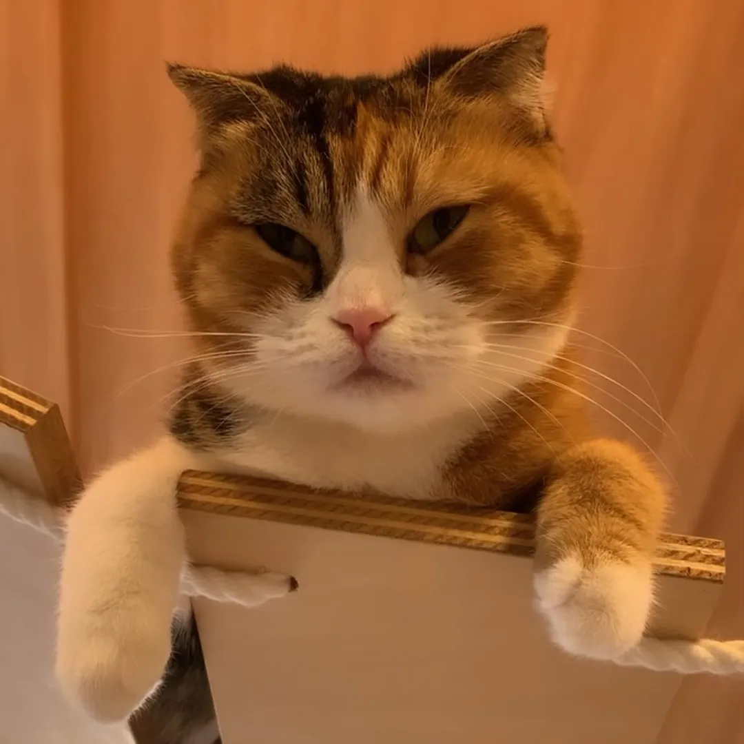 投稿の写真6