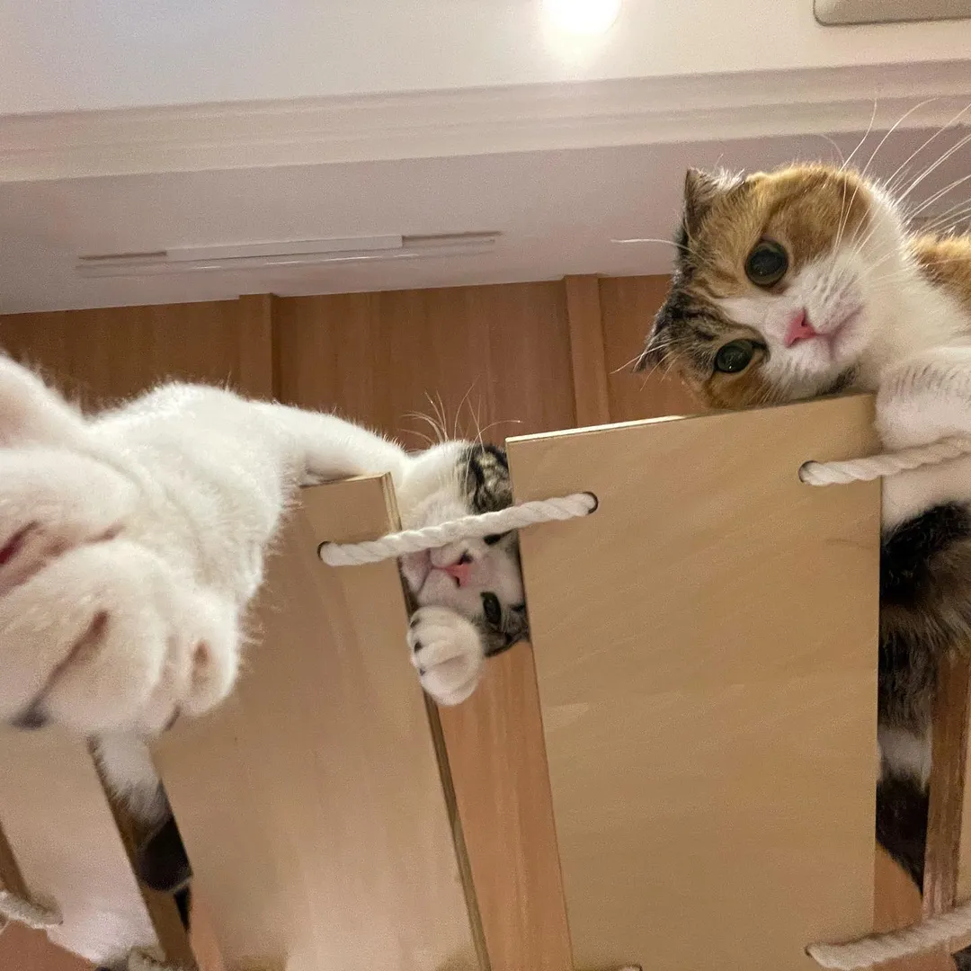 投稿の写真2