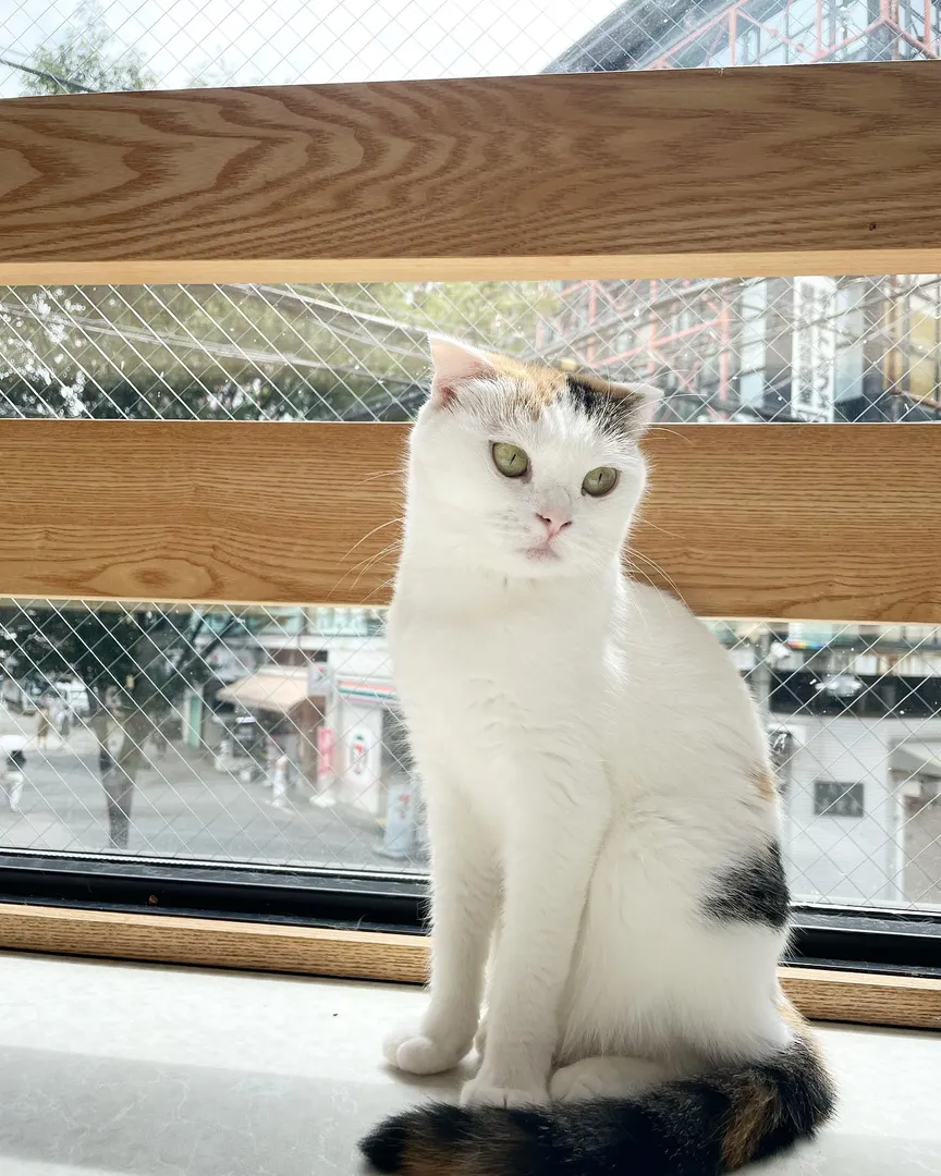 投稿の写真2