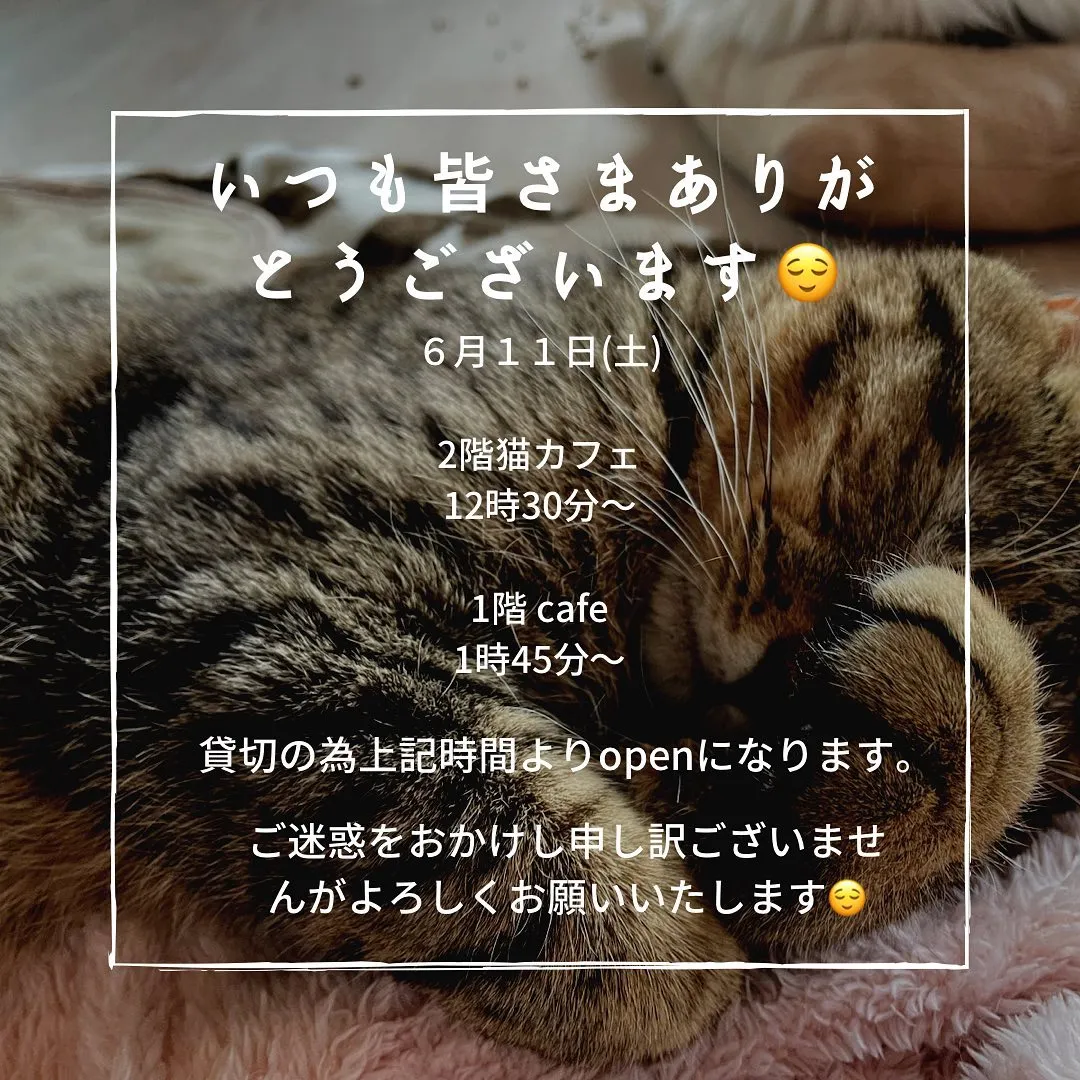 投稿の写真2
