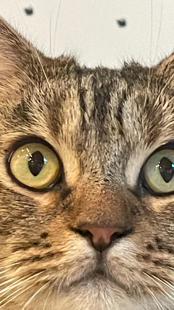 投稿の写真