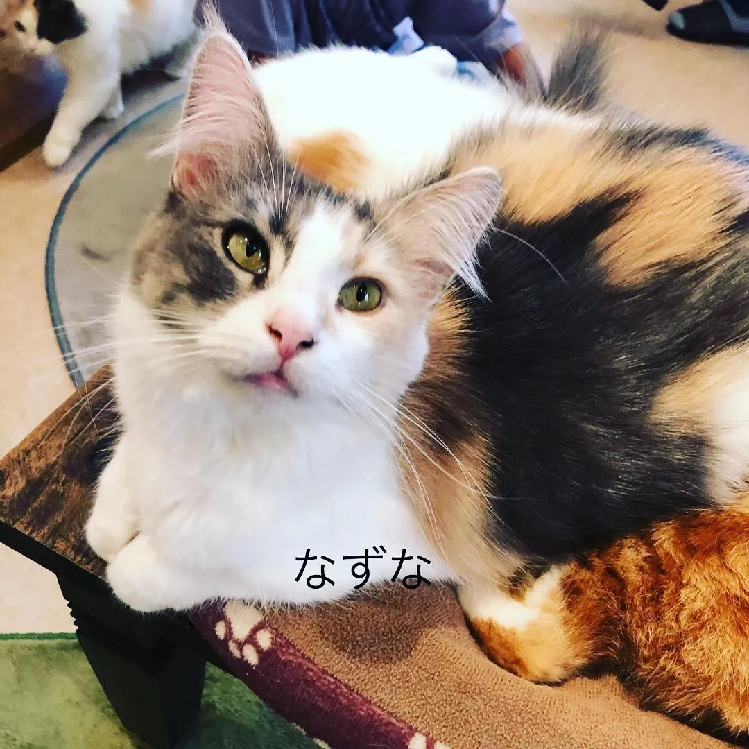 投稿の写真5