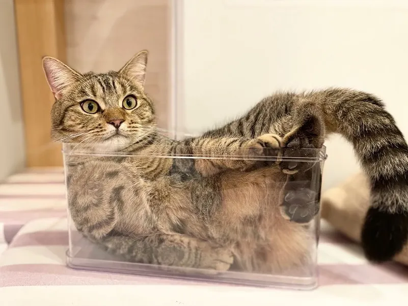 投稿の写真3