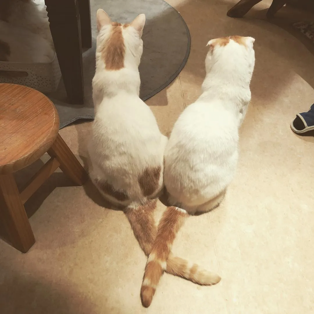 投稿の写真4