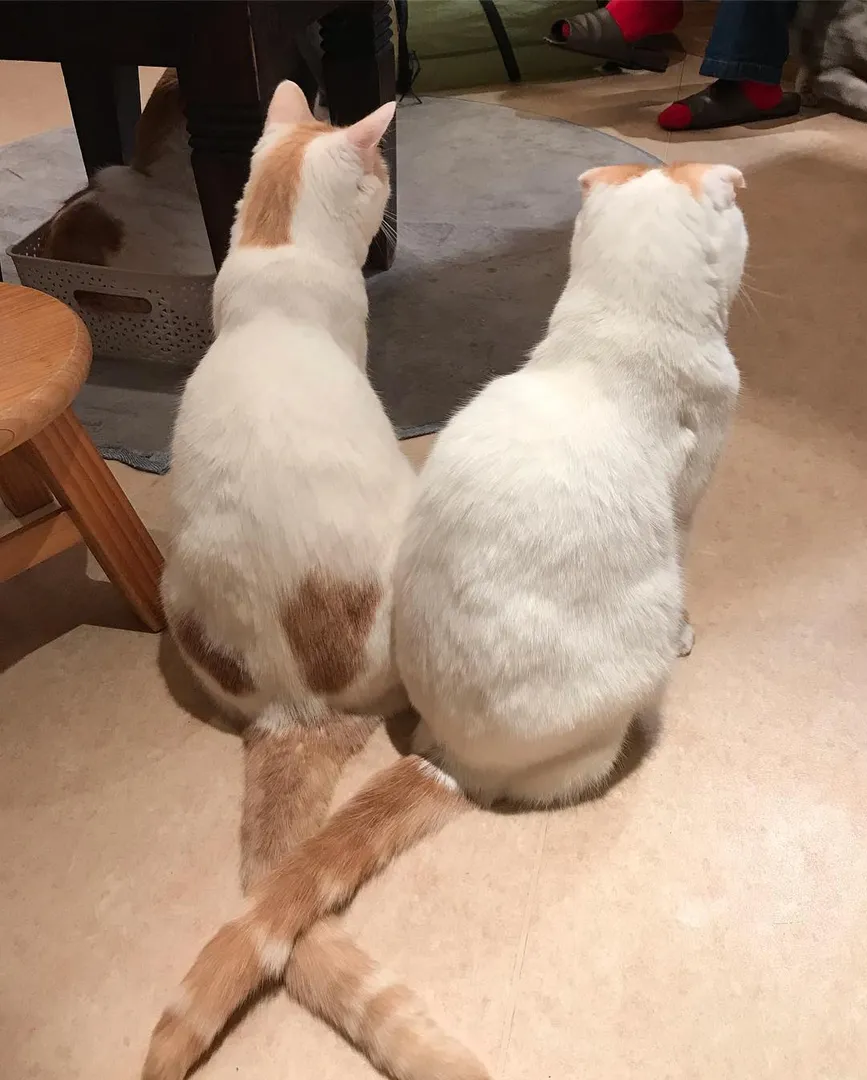 投稿の写真3