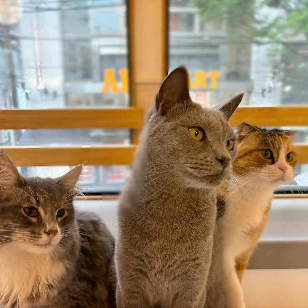 投稿の写真4